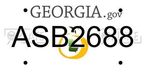 ASB2688 Georgia License Plate
