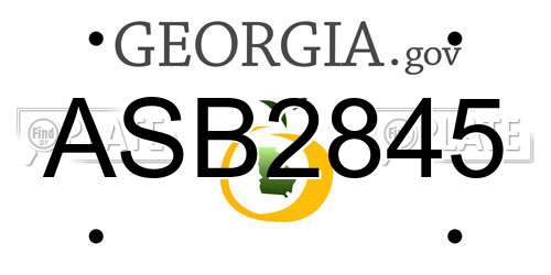 ASB2845 Georgia License Plate