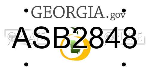 ASB2848 Georgia License Plate