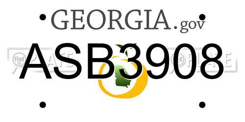 ASB3908 Georgia License Plate