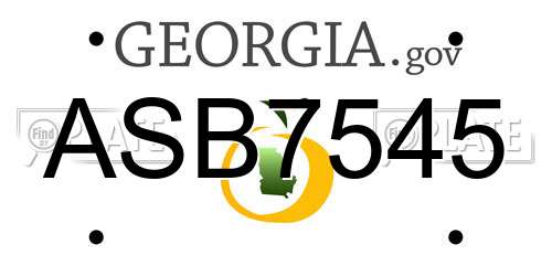 ASB7545 Georgia License Plate