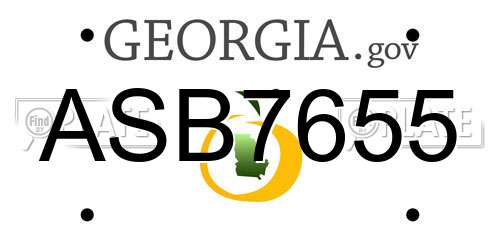 ASB7655 Georgia License Plate