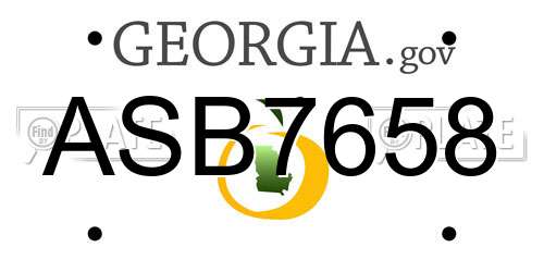 ASB7658 Georgia License Plate