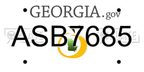 ASB7685 Georgia License Plate