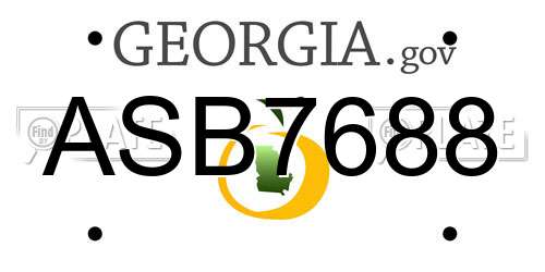 ASB7688 Georgia License Plate