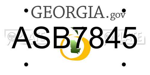 ASB7845 Georgia License Plate