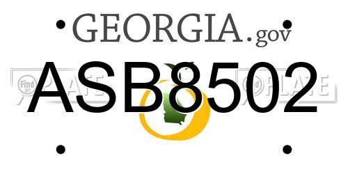 ASB8502 Georgia License Plate