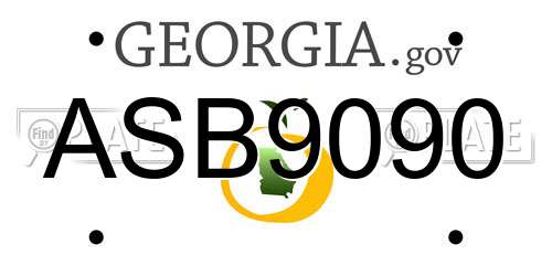ASB9090 Georgia License Plate