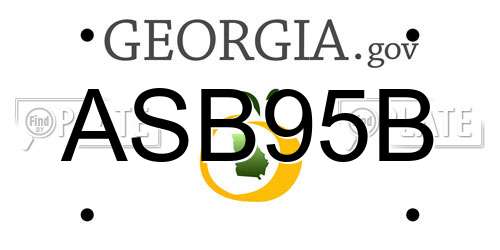 ASB95B Georgia License Plate