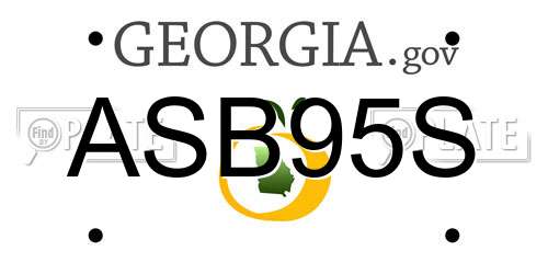 ASB95S Georgia License Plate