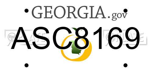ASC8169 Georgia License Plate
