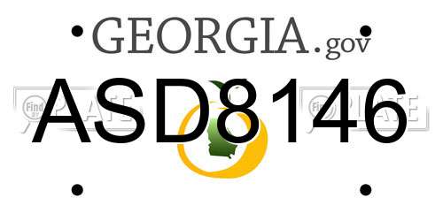 ASD8146 Georgia License Plate