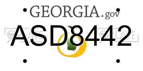 ASD8442 Georgia License Plate