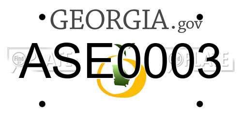 ASE0003 Georgia License Plate