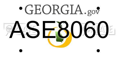 ASE8060 Georgia License Plate