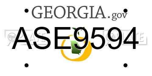 ASE9594 Georgia License Plate