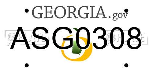 ASG0308 Georgia License Plate