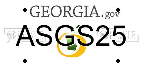 ASGS25 Georgia License Plate