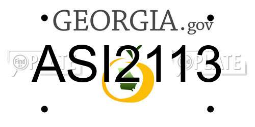 ASI2113 Georgia License Plate