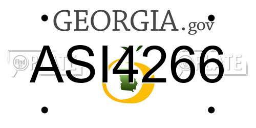 ASI4266 Georgia License Plate