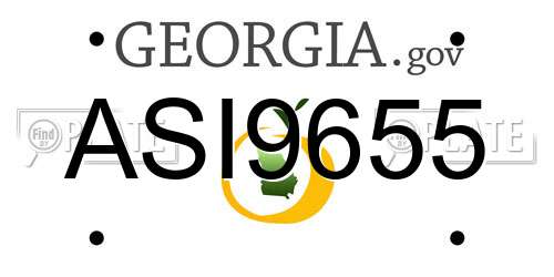 ASI9655 Georgia License Plate