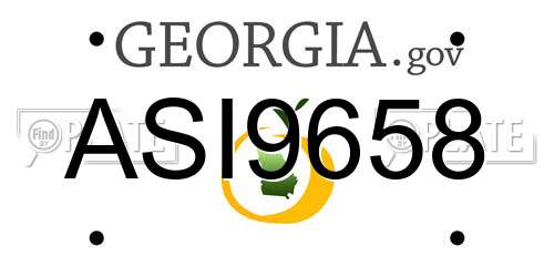 ASI9658 Georgia License Plate