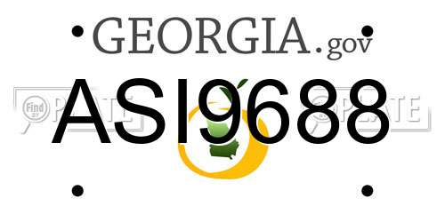 ASI9688 Georgia License Plate