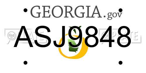 ASJ9848 Georgia License Plate