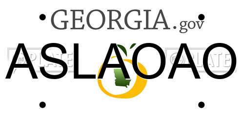 ASLAOAO Georgia License Plate