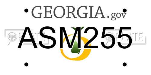 ASM255 Georgia License Plate