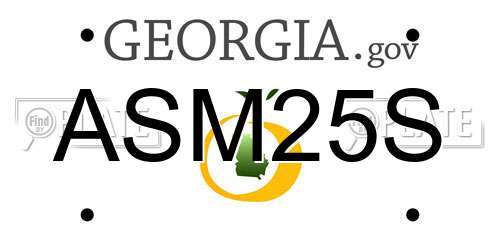 ASM25S Georgia License Plate