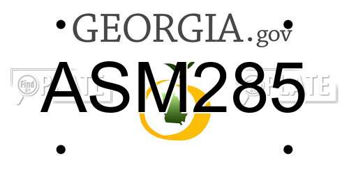 ASM285 Georgia License Plate