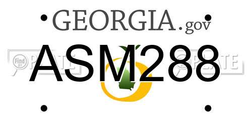 ASM288 Georgia License Plate