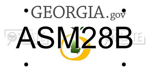 ASM28B Georgia License Plate