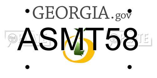ASMT58 Georgia License Plate