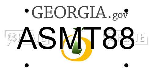 ASMT88 Georgia License Plate