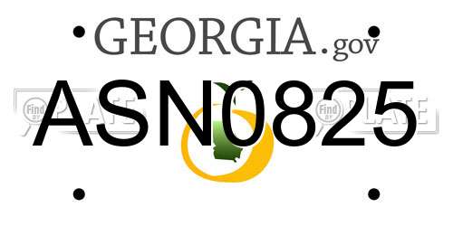 ASN0825 Georgia License Plate