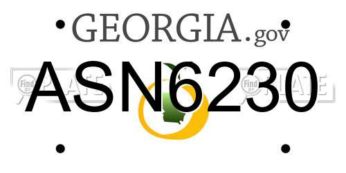 ASN6230 Georgia License Plate