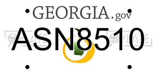 ASN8510 Georgia License Plate