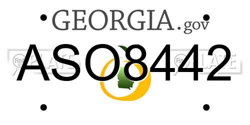 ASO8442 Georgia License Plate