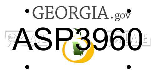 ASP3960 Georgia License Plate