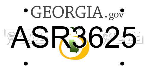 ASR3625 Georgia License Plate