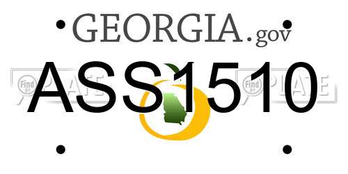ASS1510 Georgia License Plate