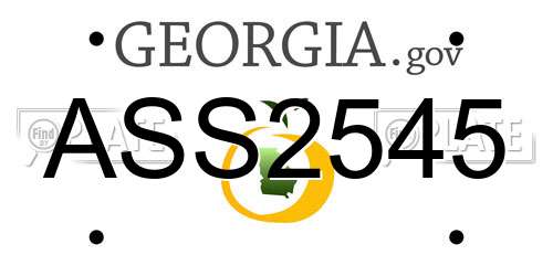 ASS2545 Georgia License Plate