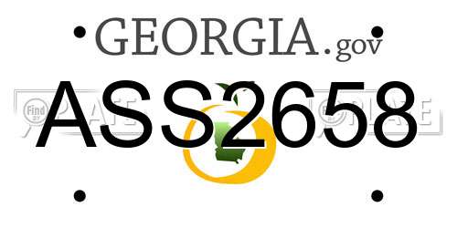 ASS2658 Georgia License Plate