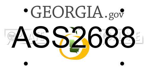 ASS2688 Georgia License Plate