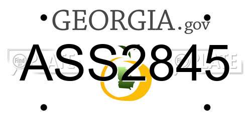ASS2845 Georgia License Plate