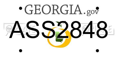 ASS2848 Georgia License Plate
