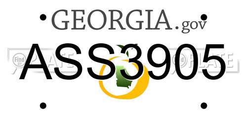 ASS3905 Georgia License Plate