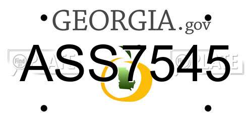 ASS7545 Georgia License Plate